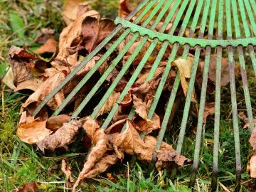 imgonline-com-ua-Resize-WO1KF1sbRlRlbR