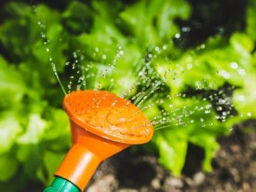 imgonline-com-ua-Resize-yZlaoN14w5N6V0E