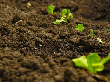 imgonline-com-ua-Resize-z1ULUarwpsuLn1N