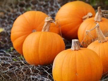 strawberries-986628_1280