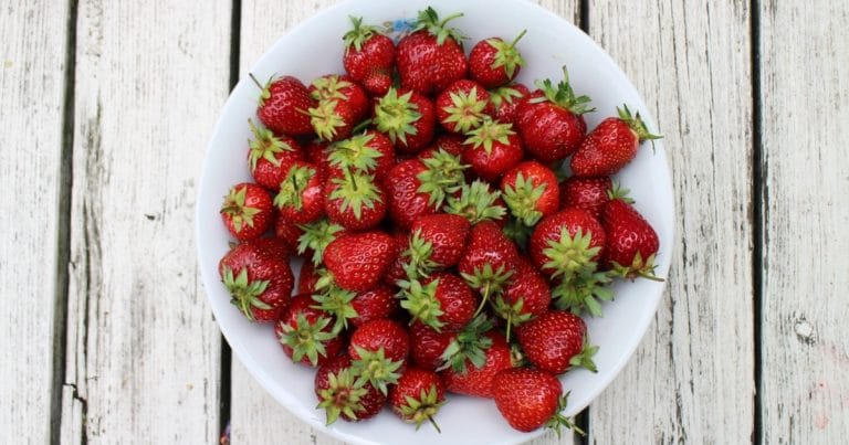 strawberries-986628_1280