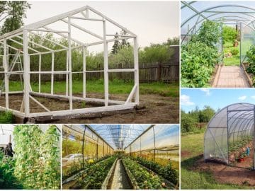 Постройка теплицы 02072018 Постройка теплицы