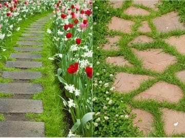 Садовые дорожки 07072018 Садовые дорожки