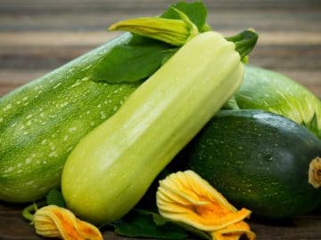 varietes_courgettes_1