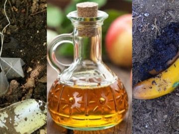 0_richard-hill_04-17-600x495