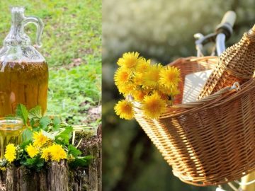 13955640364_cf6dca1b9c_h