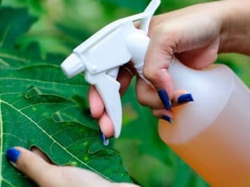 2_rbp_mai_130318homes45JPG