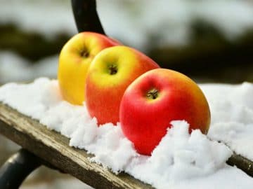 apple-3007723_960_720