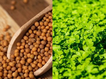 Depositphotos_167529796_l-2015