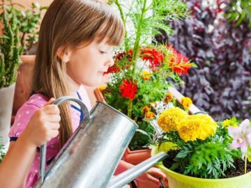 Depositphotos_167529796_l-2015