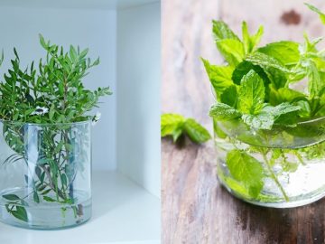 Depositphotos_167529796_l-2015