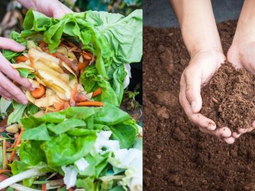 Depositphotos_44980563_m-2015