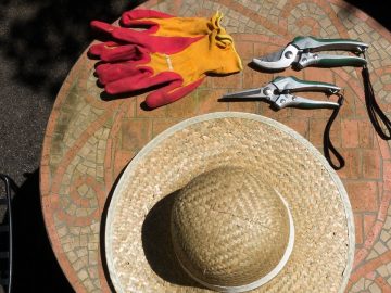 imgonline-com-ua-Resize-0oXSEfqou9