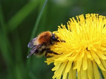 imgonline-com-ua-Resize-Ac1PTMQcCu4ve9