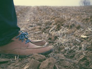 imgonline-com-ua-Resize-kv2ggBDT6uJkSUY