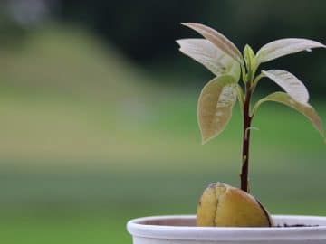 imgonline-com-ua-Resize-pKoIh0mICKYutGG9