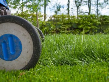 imgonline-com-ua-Resize-svFPEn9rzZ