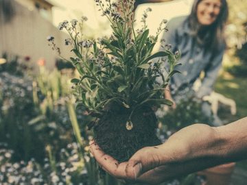 imgonline-com-ua-Resize-tCnxYsyiFvsP