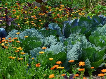 imgonline-com-ua-Resize-We0AMvPuzYYXm