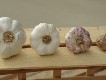 imgonline-com-ua-Resize-X1WderQLOEcxB