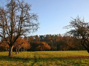 imgonline-com-ua-Resize-xWOOhdqCKZJdA