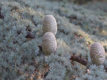 imgonline-com-ua-Resize-yFuhQi0BfZ8oa3o