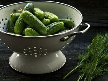 photo-1462536546956-beef6399d8cf