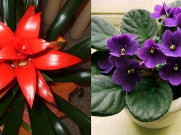 418534471_a29b342563_b