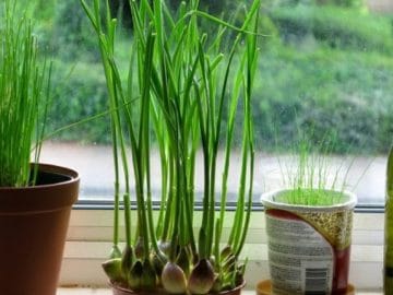 4FFA815B00000578-6150999-image-a-59_1536579381446