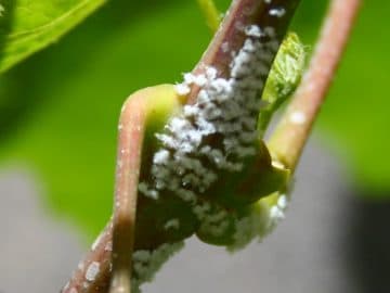 4FFA815B00000578-6150999-image-a-59_1536579381446