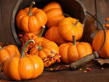 Depositphotos_126328978_l-2015