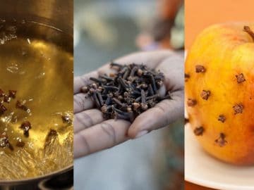 Depositphotos_126328978_l-2015