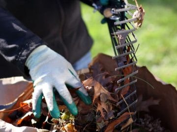 gardening-royalty-free-image-483230173-1536354131