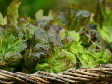 imgonline-com-ua-Resize-AnWn5g1ILc