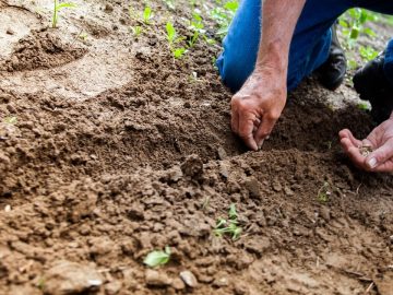 imgonline-com-ua-Resize-hxYMqqIyEy4GYgm