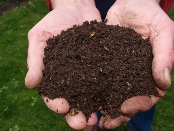 imgonline-com-ua-Resize-mSJWiB31C5XEAd