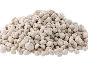 imgonline-com-ua-Resize-URgUTGvalz7Y