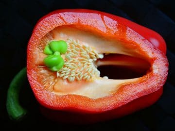 paprika-3448391_960_720