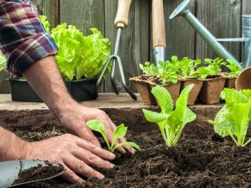 14437359189_a0f990214c_h