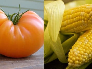 14437359189_a0f990214c_h