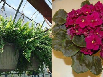 14437359189_a0f990214c_h