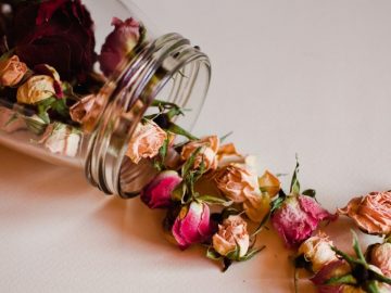 50.-Pretty-Pumpkin-Path