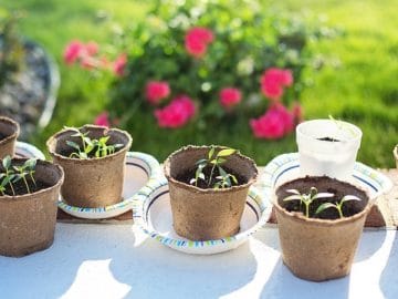 BeFunky-collage (1) (1)