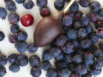 berry-3579336_960_720