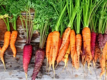 carrot-2743498_960_720