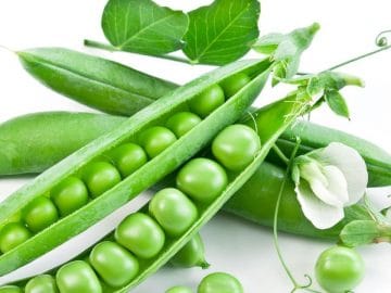 Pods of green peas with leaves on white background.