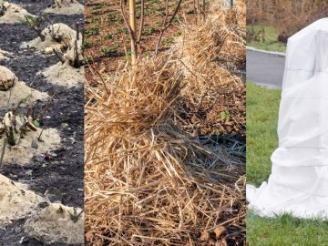 6593212-6424117-image-a-50_1543082407589 27112018 6593212-6424117-image-a-50_1543082407589