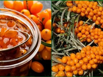 Безымянный коллаж (4)