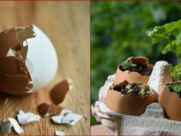 Безымянный коллаж (6) 21112018 Безымянный коллаж (6)