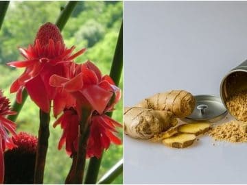 Безымянный коллаж (8)